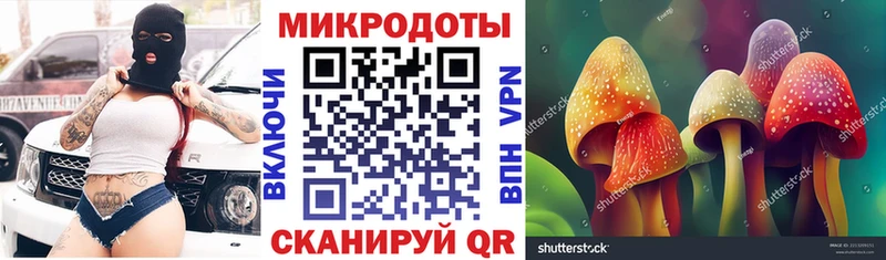 Псилоцибиновые грибы GOLDEN TEACHER  Купить  Ковылкино 